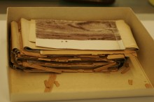 photo conservation2