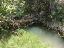 toma-acequia-los-asturianos