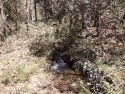 acequia-paulo-1