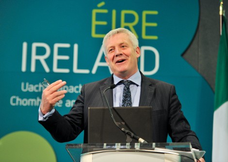 Mr. Fergus O'Dowd, T.D., Minister of State, Department of the Environment, Community and Local Government