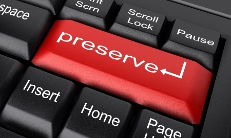 Digital Preservation