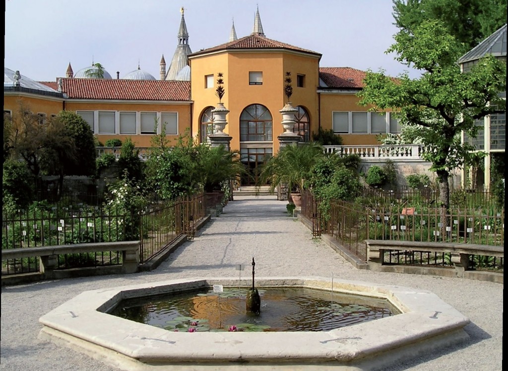 Ortobotanico Padova 2