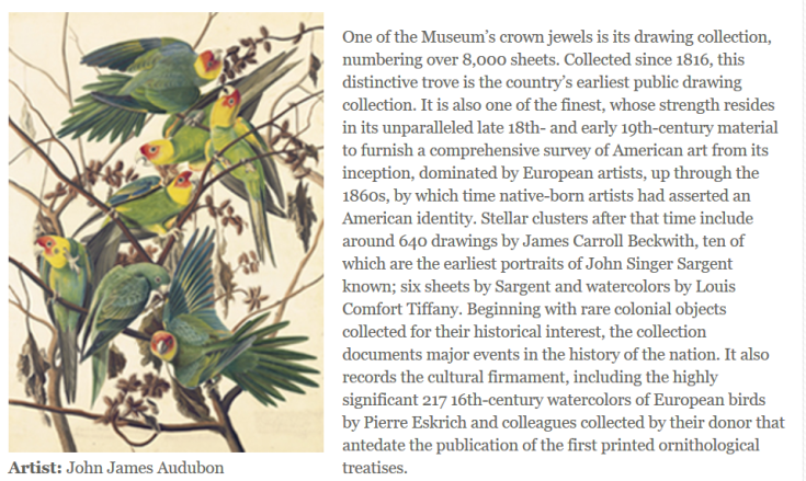 Audubon was an extraordinary lover and observer of birds and nature.