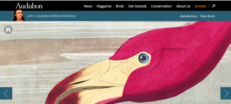 website