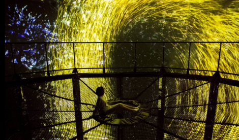 the way of the sea, floating nest